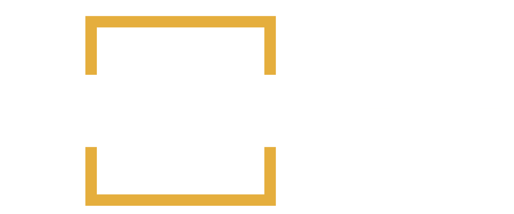 Cosmo_Tech-Primary-Color-white